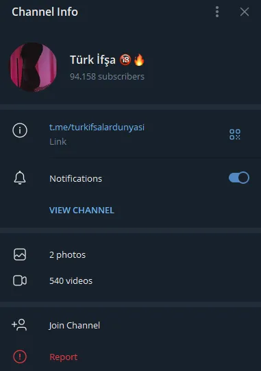 Türk İfşa